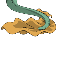 Wavy Tailfin female mutation of Serpentes