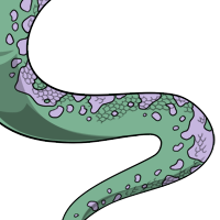 Spotted Body male mutation of Serpentes