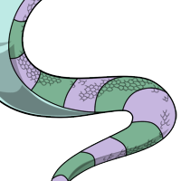 Striped Body male mutation of Serpentes