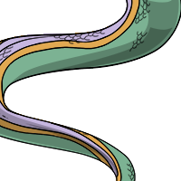 Dorsal Striped Body female mutation of Serpentes