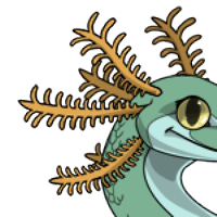 Axolotl Gills female mutation of Serpentes