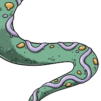 Gingerbread Body male mutation of undefined