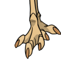 Emu Feet female mutation of Struthio