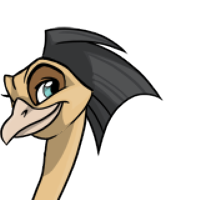 Hair male mutation of Struthio