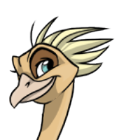 Tuft male mutation of Struthio