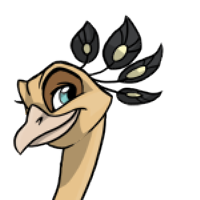 Peacock Headdress male mutation of Struthio