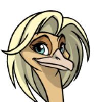 Silkie Hair female mutation of Struthio