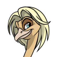 Silkie Hair male mutation of Struthio