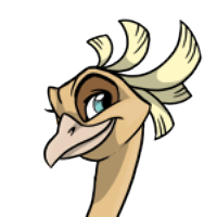 Harpy Eagle Hair male mutation of Struthio