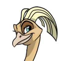 Spoonbill Hair male mutation of Struthio