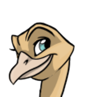 Solid Head male mutation of Struthio