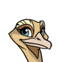 Rockhopper Head female mutation of Struthio