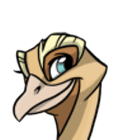 Rockhopper Head male mutation of Struthio