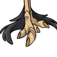 Claw Feathers female mutation of Struthio