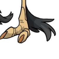 Claw Feathers male mutation of Struthio