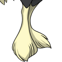 Full Feathers female mutation of Struthio