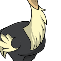 Neck Feathers female mutation of Struthio