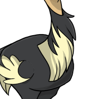 Fluffy Neck Feathers female mutation of Struthio