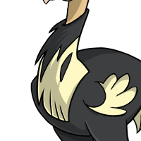 Fluffy Neck Feathers male mutation of Struthio