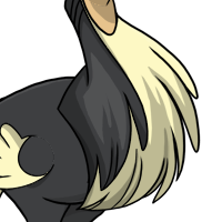 Emu Neck Feathers female mutation of Struthio