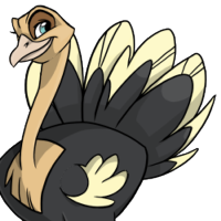 Fan Tail male mutation of Struthio