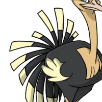 Turkey Tail female mutation of Struthio