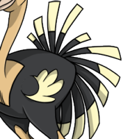 Turkey Tail male mutation of Struthio