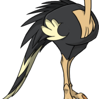 Pheasant Tail female mutation of Struthio