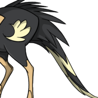 Pheasant Tail male mutation of Struthio