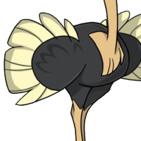 Full Wings female mutation of Struthio