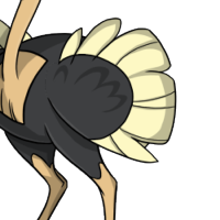 Full Wings male mutation of Struthio