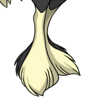 Bicolor Full Feathers female mutation of Struthio