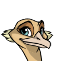 Cheek Tufts female mutation of Struthio