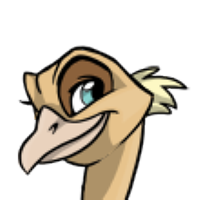 Cheek Tufts male mutation of Struthio