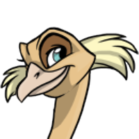 Big Cheek Tufts male mutation of Struthio