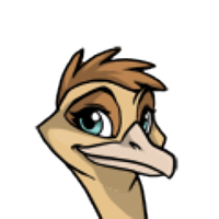 Small Comb female mutation of Struthio