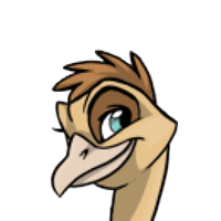 Small Comb male mutation of Struthio