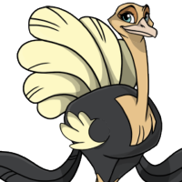 Fashion Tail female mutation of Struthio