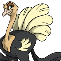 Fashion Tail male mutation of Struthio