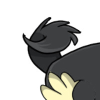 Solid Deer Tail female mutation of Struthio