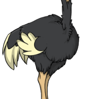 Fluffy Body female mutation of Struthio