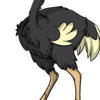 Fluffy Body male mutation of Struthio