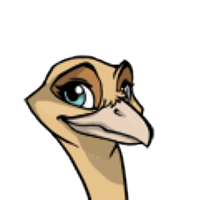 Curved Beak female mutation of Struthio