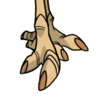 Hind Toe female mutation of Struthio