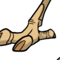 Hind Toe male mutation of Struthio