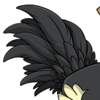 Layered Tail female mutation of Struthio