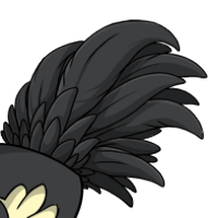 Layered Tail male mutation of Struthio