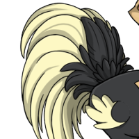 Fancy Tail female mutation of Struthio