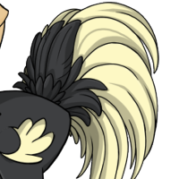 Fancy Tail male mutation of Struthio