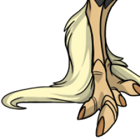 Long Leg Feathers female mutation of Struthio